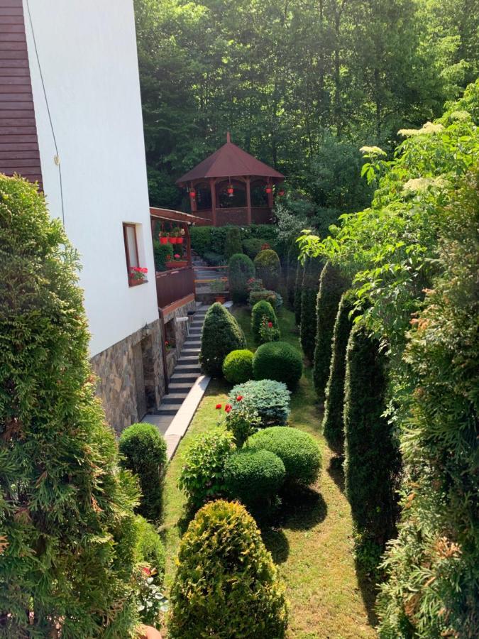Bed and Breakfast Pensiunea Eva Sovata Exterior foto
