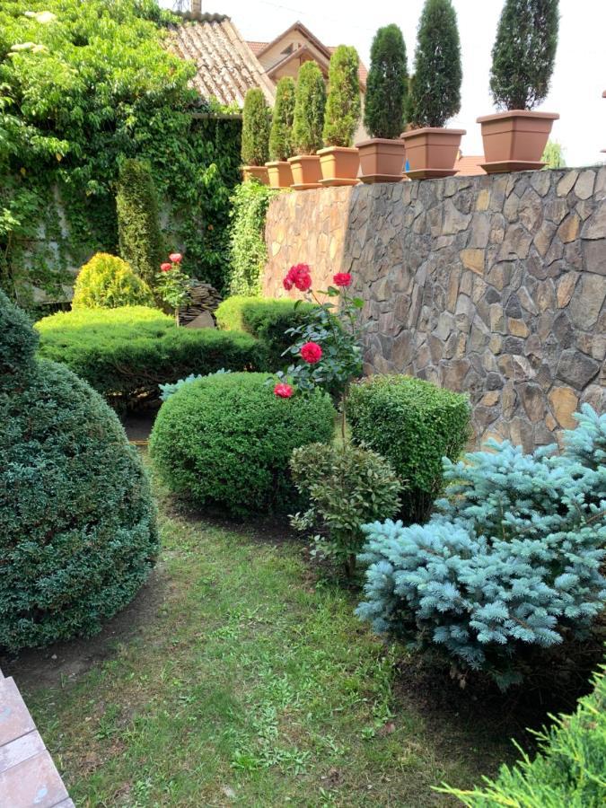 Bed and Breakfast Pensiunea Eva Sovata Exterior foto