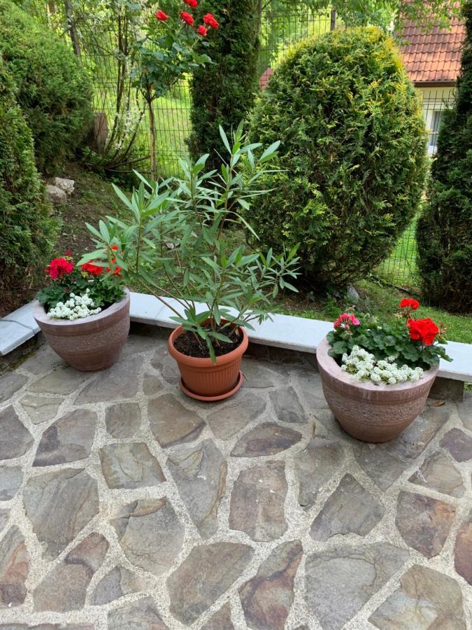 Bed and Breakfast Pensiunea Eva Sovata Exterior foto