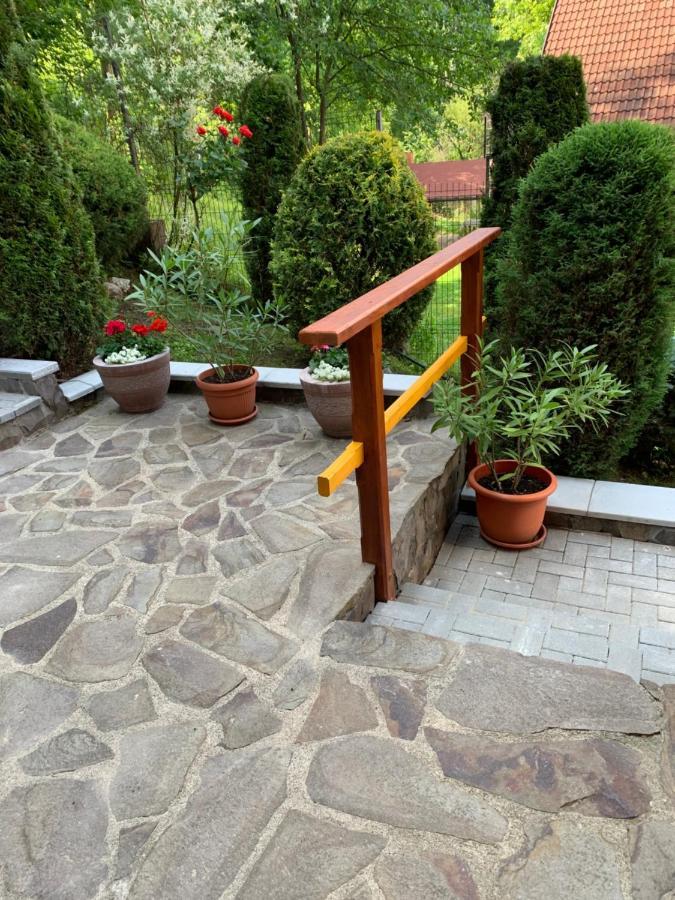 Bed and Breakfast Pensiunea Eva Sovata Exterior foto
