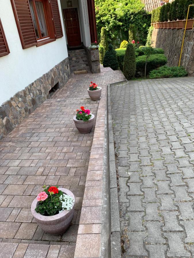 Bed and Breakfast Pensiunea Eva Sovata Exterior foto
