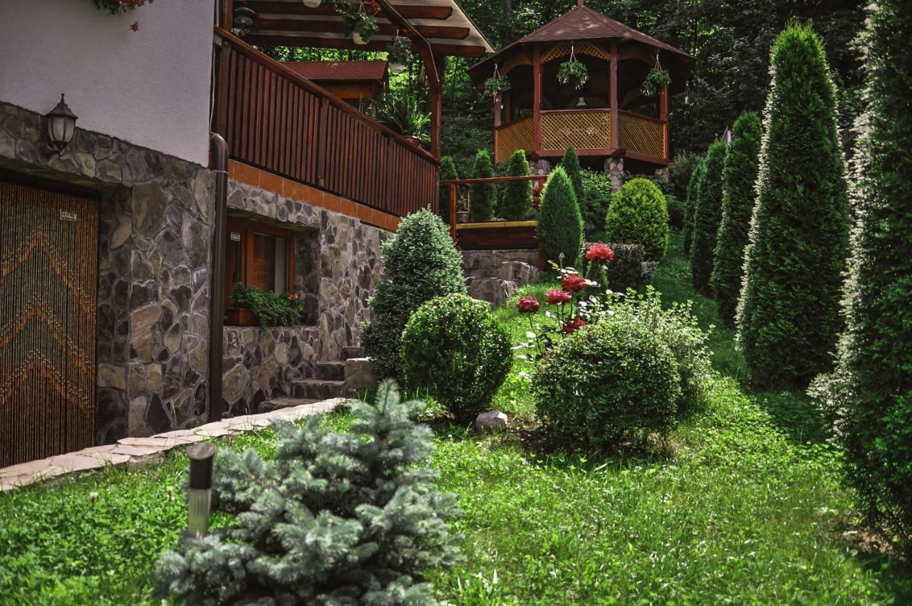 Bed and Breakfast Pensiunea Eva Sovata Exterior foto